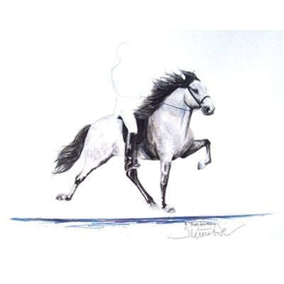 Thotti Icelandic Horse
