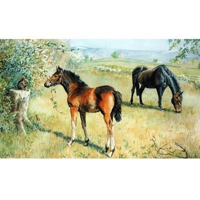 When all the World is Young By Jo Campin 13.5 x 8