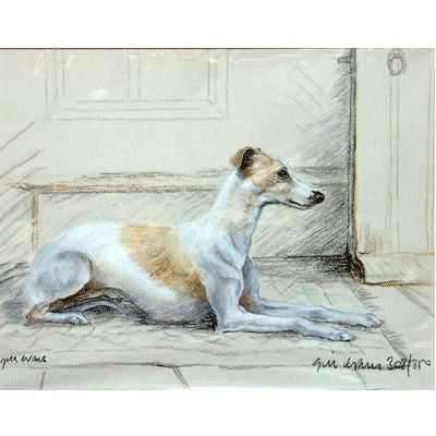 Whippet By Gill Evans Matted 12.75 x 10.75