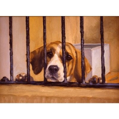 Why Me By Elizabeth Scrivener 9.75 x 7