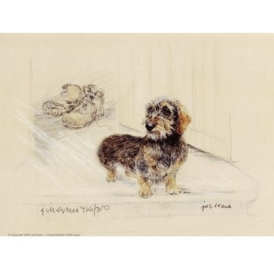 Wire Haired Dachshund By Gill Evans 12.75 x 10.75