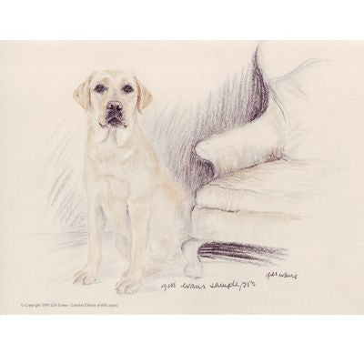 Yellow Lab By Gill Evans Matted 12.75 x 10.75