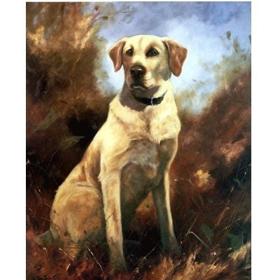 Yellow Lab By John Trickett 14.5 x 18