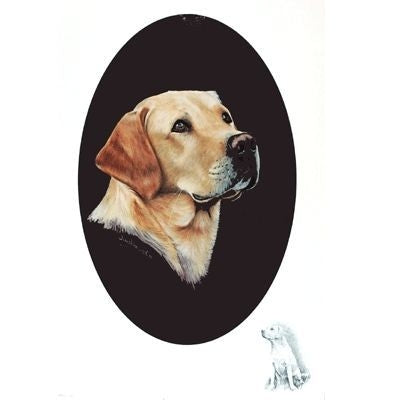 Yellow Lab by Josephine Copley 9 x 12.5