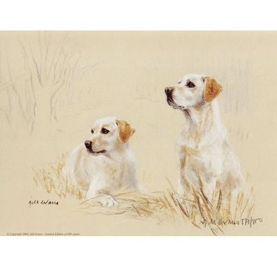 Yellow Labs By Gill Evans Matted 12.75 x 10.75