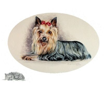Yorkshire Terrier by Josephine Copley 9 x 12.5