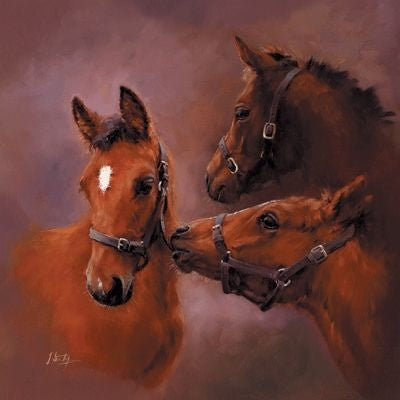 Youth By Jacqueline Stanhope 9.75 x 9.75