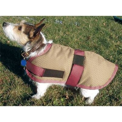 High Spirit Insulated Dog Blanket