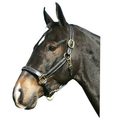 Fancy Stitched Leather Halter Large Horse Brown