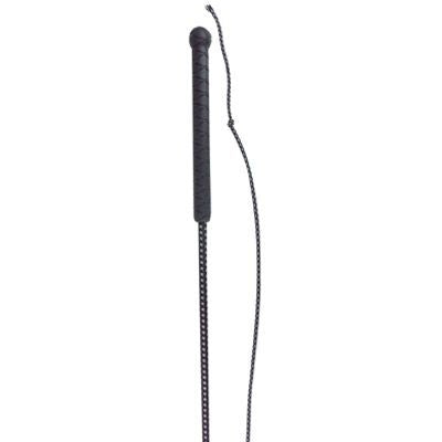 Miniature Lunge Whip Reflective 39
