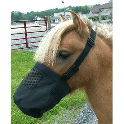 Miniature Horse Feed Bag
