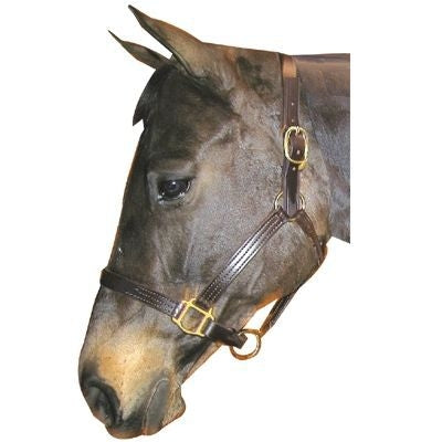 Leather Track Halter Oversize Brn
