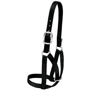 Weaver Leather Barn Cow Halter