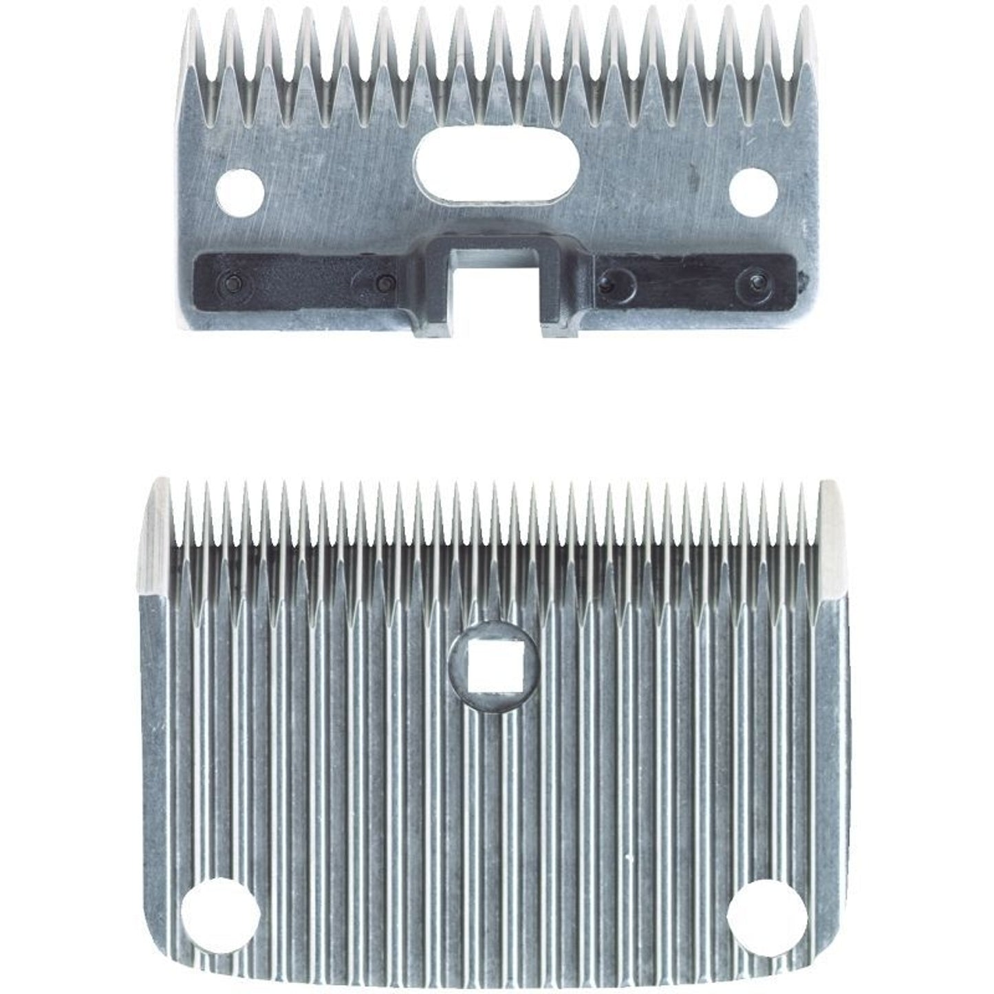 TH886400.jpg