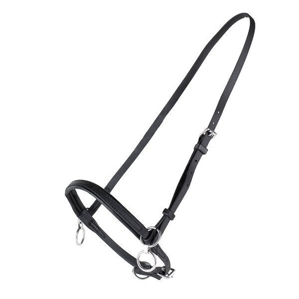 HorZe Synthetic Racing Halter with Webbing Cob Black
