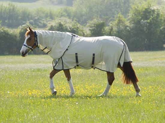 Maxi-Flow Fly Sheet 69 White Blue/Green Stripe