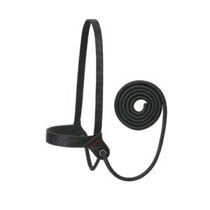 Stacy Westfall Catch Halter Average Ave Horse Brn