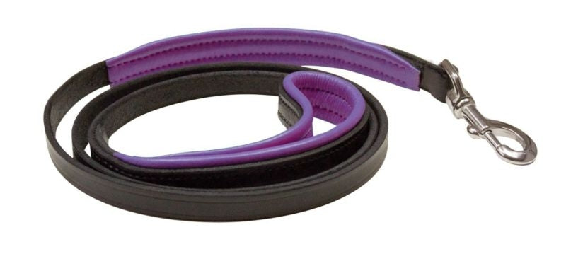 Perri's Slim Padded Leather Dog Leash 5' x 1/2 Hav