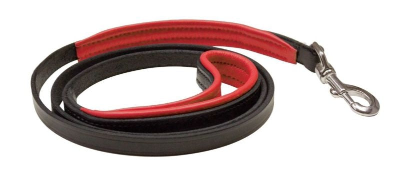 Perri's Slim Padded Leather Dog Leash 5' x 1/2 Hav