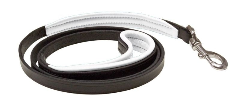 Perri's Slim Padded Leather Dog Leash 5' x 1/2 Hav