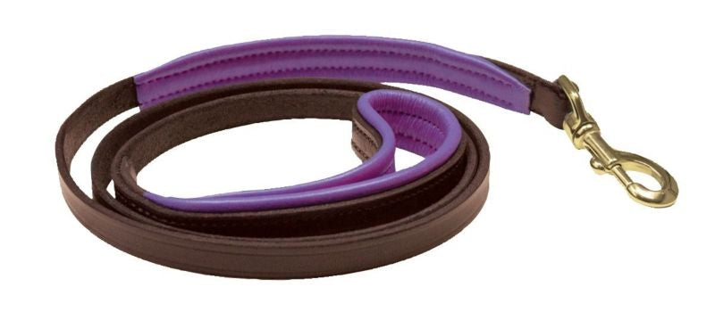 Perri's Slim Padded Leather Dog Leash 5' x 1/2 Hav