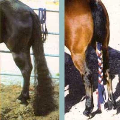 Intrepid Fleece Tail Braid Tequin