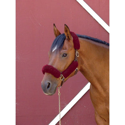 Toklat Coolback Noseband Halter Tube SetBrn