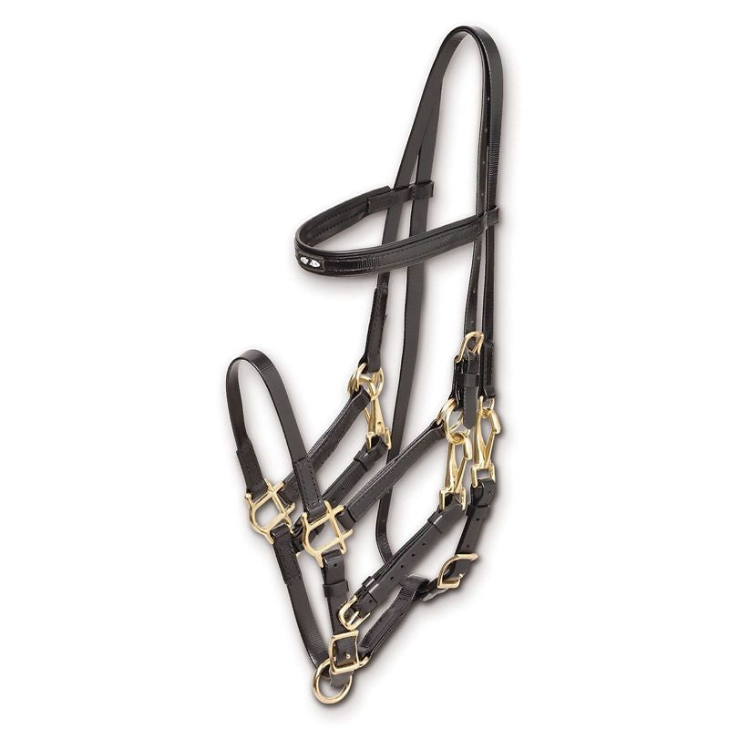 Zilco Marathon Endurance Bridle Full/Oversize Blk