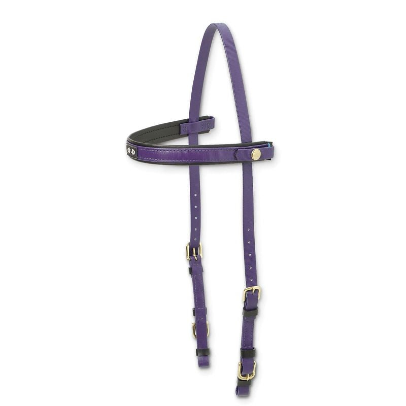 Zilco Dlx Endurance Bridle/Headstall Full Black