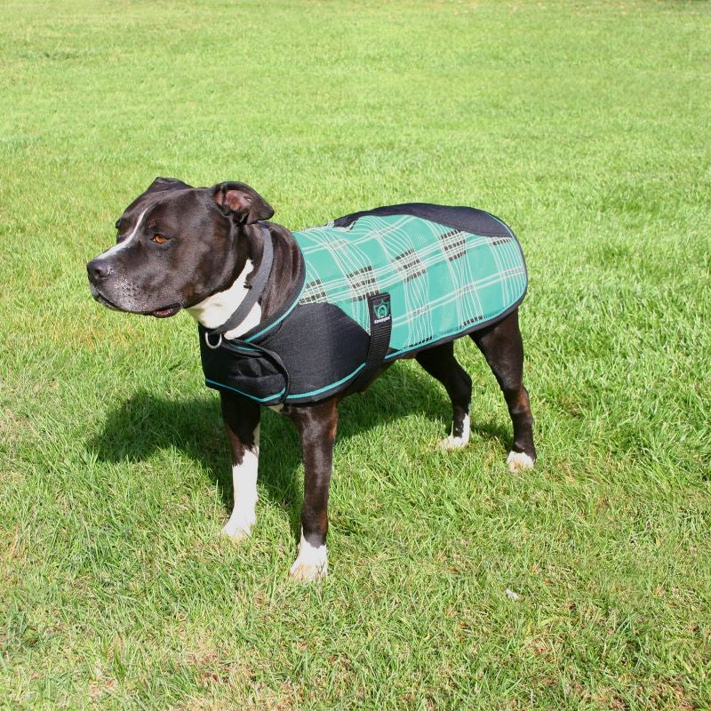 Kensington Plaid Dog Coat