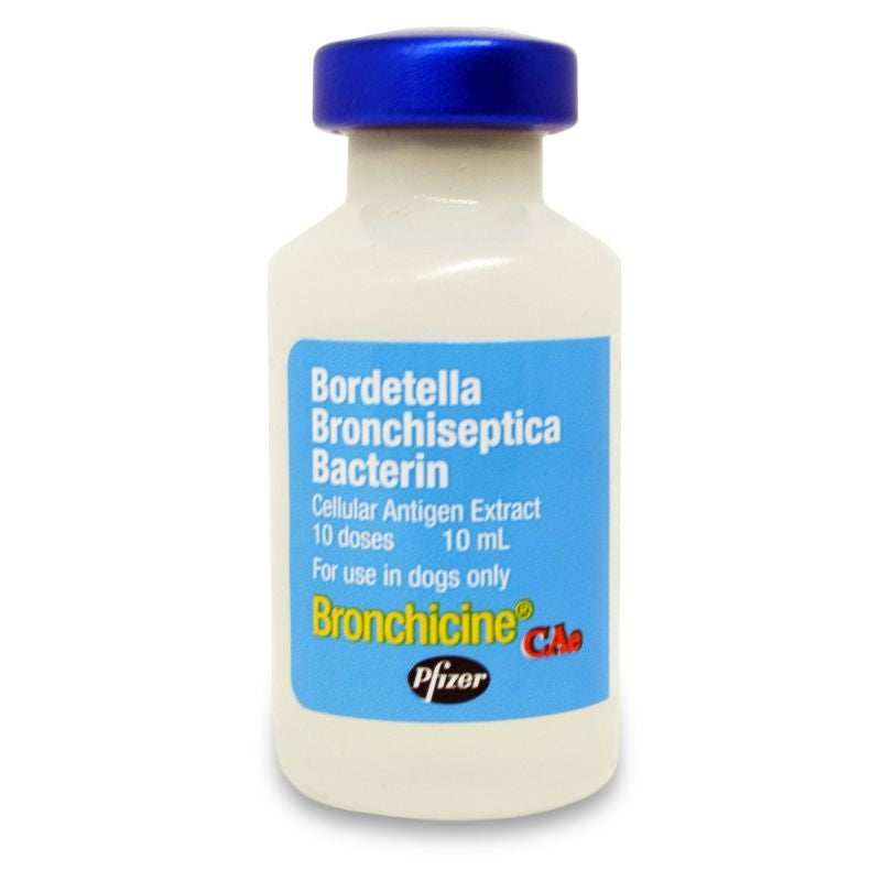 Bronchicine CAe 10ml Vial Canine Vaccine