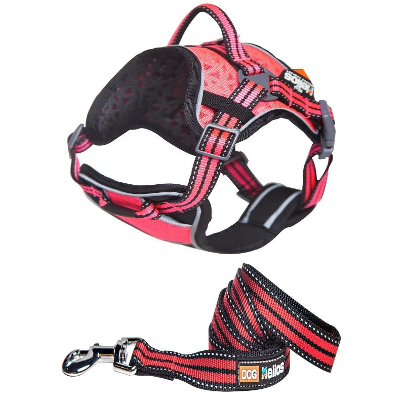 Helios Dog Pet Harness and Leash Combo