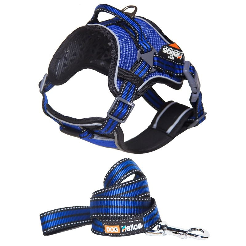 Helios Dog Pet Harness and Leash Combo
