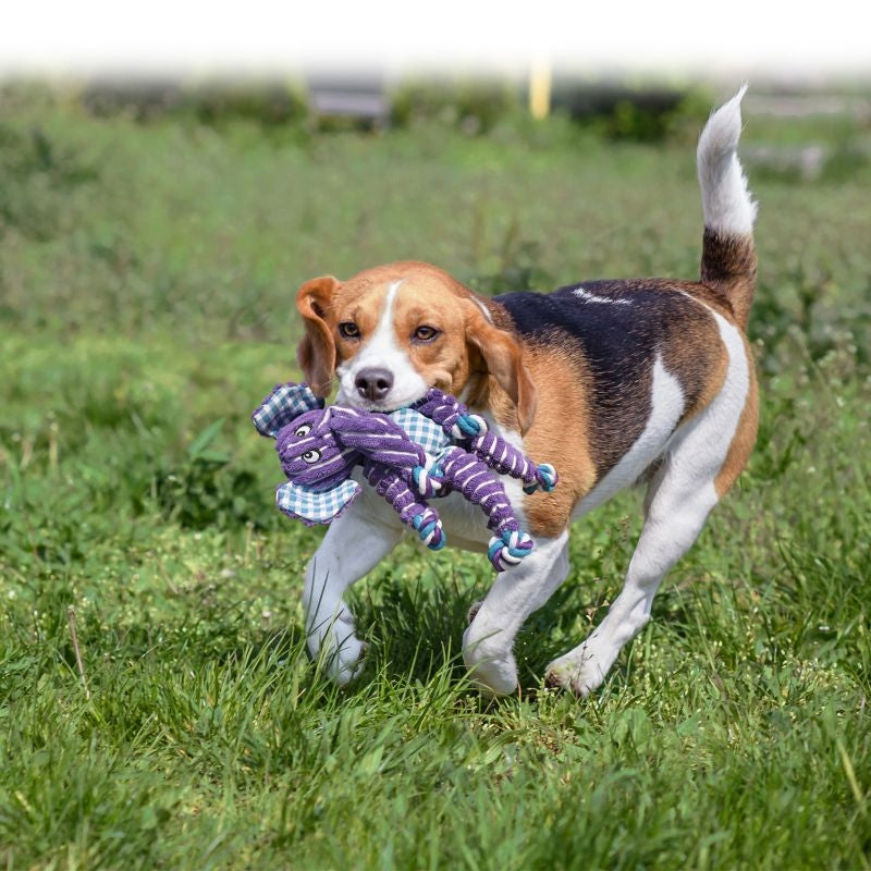 KONG Floppy Knots Dog Toy