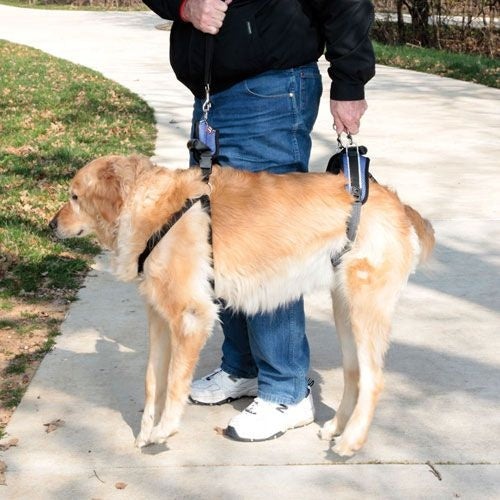 Solvit Carelift Lifting Aid Dog Harness