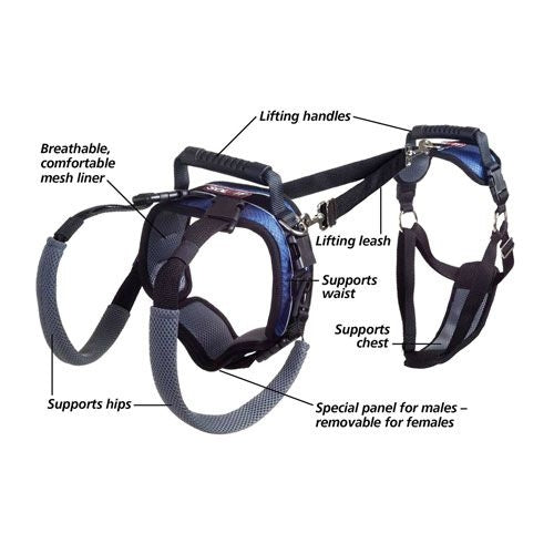 Solvit Carelift Lifting Aid Dog Harness