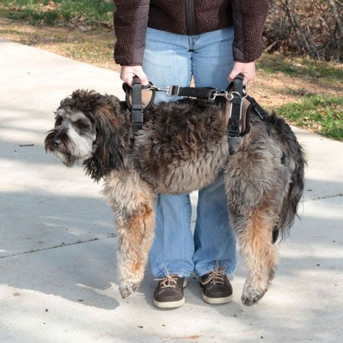 Solvit Carelift Lifting Aid Dog Harness