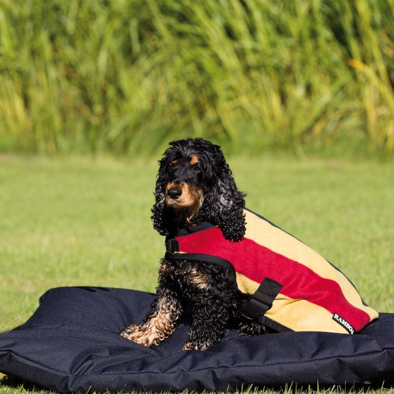 Rambo Deluxe Dog Blanket