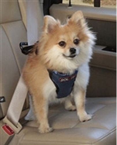 Solvit Pet Vehicle Safety Harness