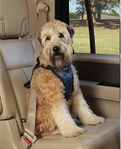 Solvit Pet Vehicle Safety Harness