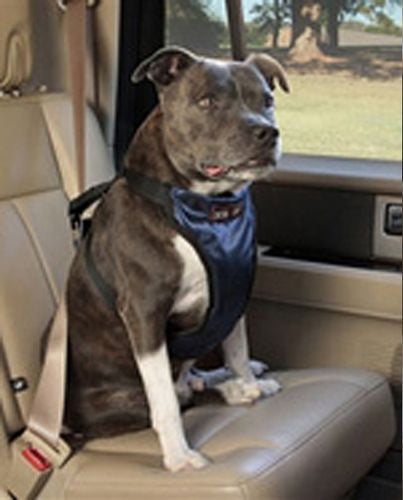 Solvit Pet Vehicle Safety Harness
