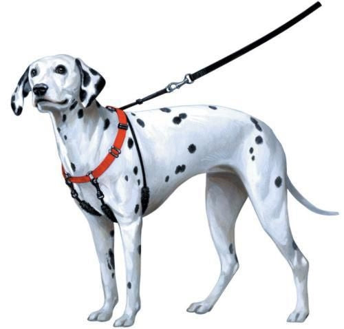 Sporn Pull-Control Dog Halter