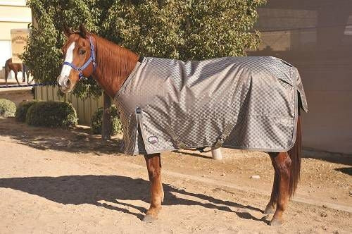 Weaver Deluxe Blanket - 840 D Blue Check 68"