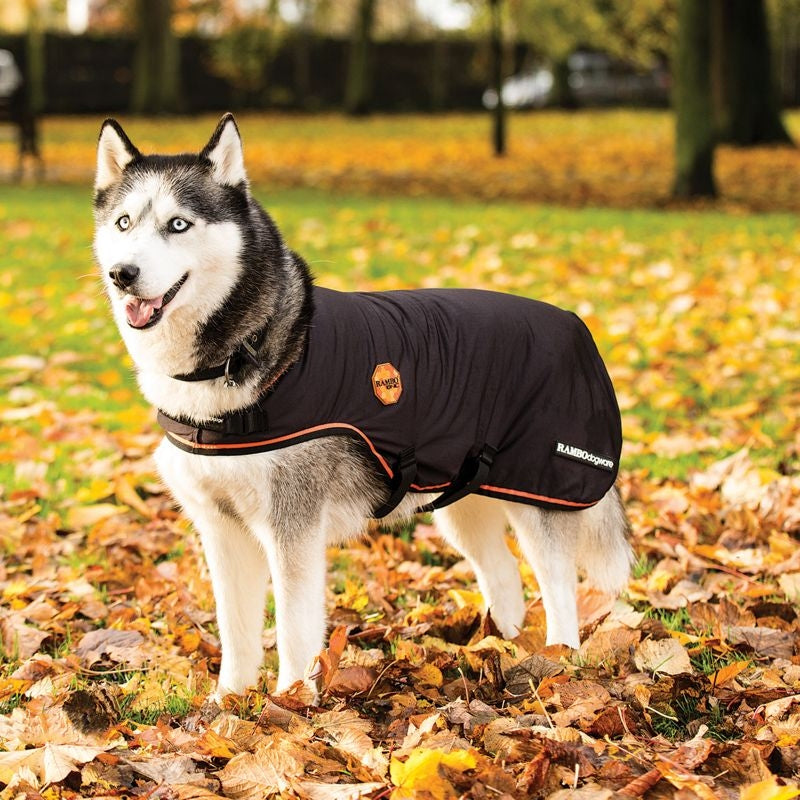 Rambo Ionic Dog Blanket