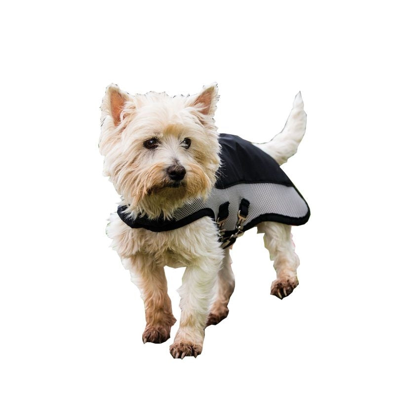 Rambo Sport Series Dog Blanket