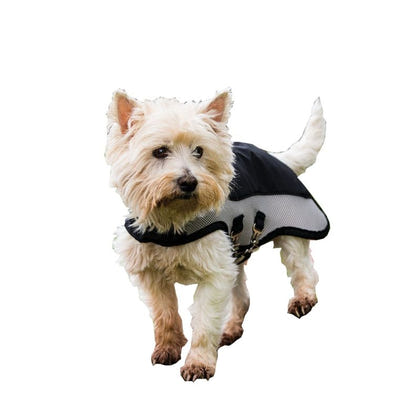 Rambo Sport Series Dog Blanket
