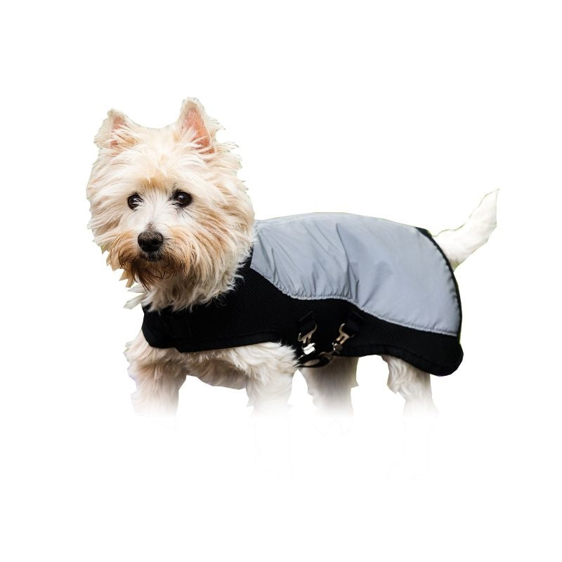Rambo Sport Series Dog Blanket