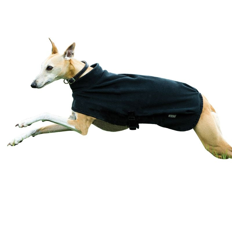 Amigo Fleece Dog Blanket