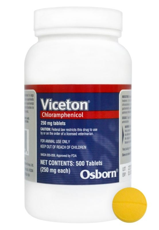 Chloramphenicol Tablets