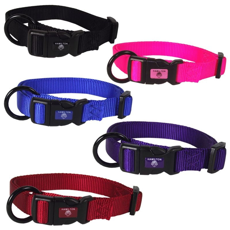 Hamilton Adjustable Dog Collar
